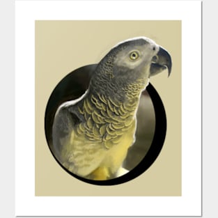 parrot Posters and Art